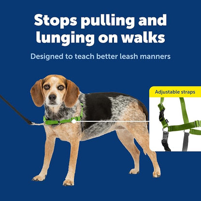 PetSafe Easy Walk Harness for Dogs - Pull-Free Walks - Patented Martingale Loop Design - Front Chest Leash Attachment - Comfort Straps - Breathable Harness Design - Small/Medium, Apple Green/Gray | Patented Martingale Loop Gives Gradual Shoulder Pressu...