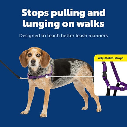 PetSafe Easy Walk Harness, No Pull Dog Harness, Deep Purple, Small/Medium | Patented Martingale Loop Gives Gradual Shoulder Pressure to Stop Pulling, Front-Chest Leash Clip Prevents Gagging
