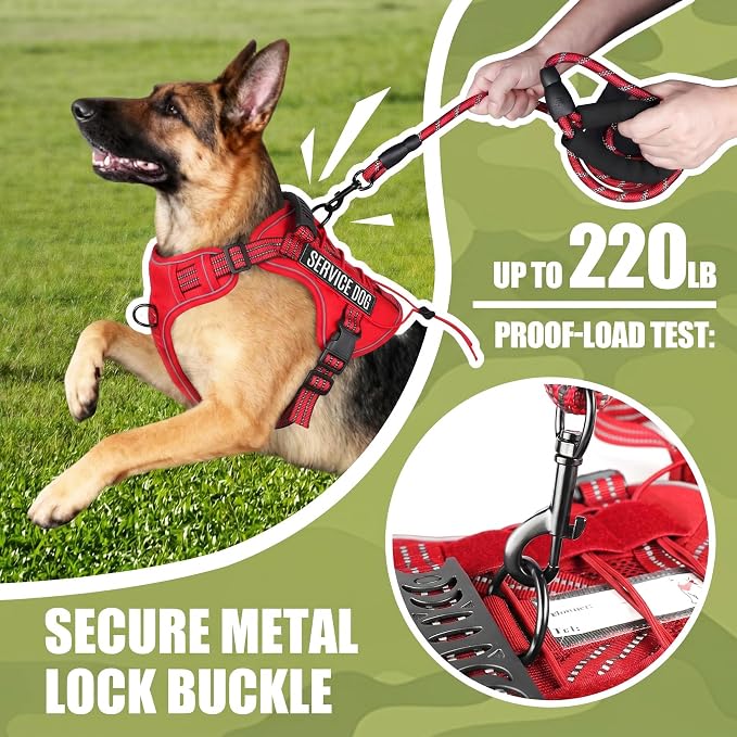 Service Dog Tactical Vest Harness and Leash Set Large Sized Dog Emotional Support- Tactical Dog Harness Training Collar with Name (Red, L)