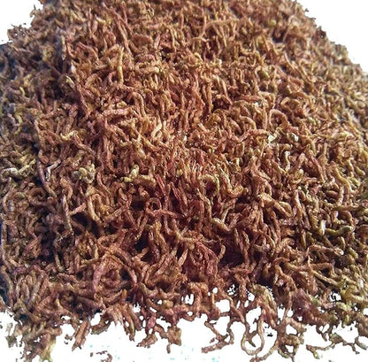 Aquatic Foods Inc. Bloodworms, Freeze Dried Grade A Fresh Floating Bloodworms for All Tropical Fish, Bettas, Discus, Cichlids, Community Fish, Turtles, Carnivore Tropical Fish - 1-lb