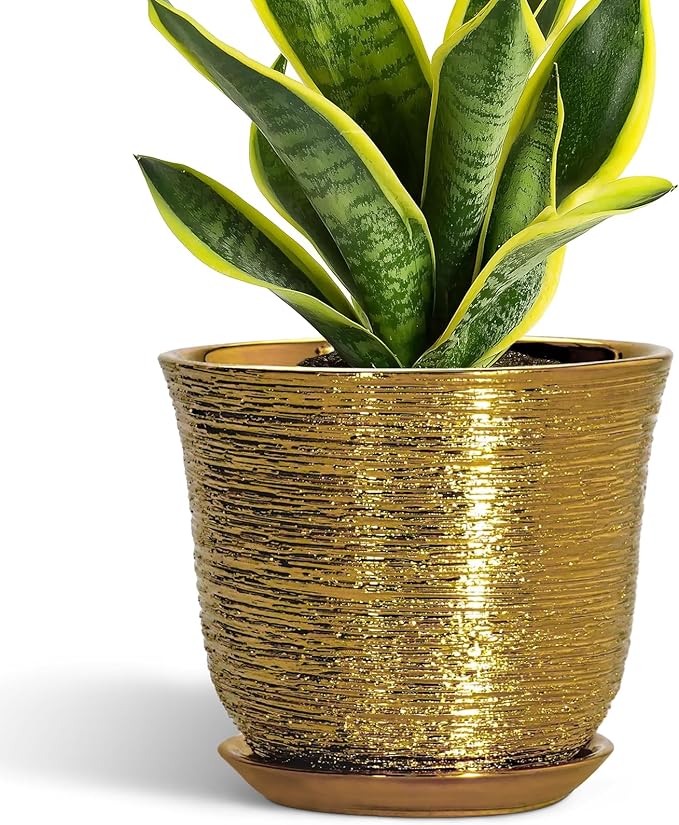 Ceramic Plant Pots - 8 Inch Plant Pot with Drainage Hole and Saucer, Round Planter for Indoor Outdoor, Modern Flower Pot, Decorative Planter, Garden Home Office Decor, Gardening Gifts, Gold