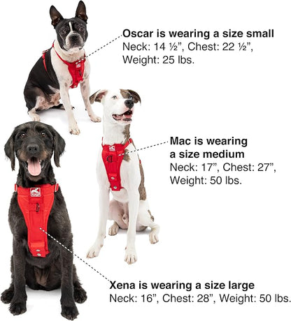 Kurgo Ink Blue Large Dog Harness - Crash Tested, All-Steel, Comfortable & Adjustable Animal Harness with Seat Belt Tether for Car Safety | Crash Tested Car Harness for Dogs up to 75Lbs, Seatbelt Tether & Steel Carabiner, All-Steel Buckles, Padded Chest...