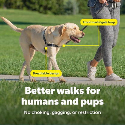 PetSafe Easy Walk Harness, No Pull Dog Harness, Raspberry, Large | Patented Martingale Loop Gives Gradual Shoulder Pressure to Stop Pulling, Front-Chest Leash Clip Prevents Gagging