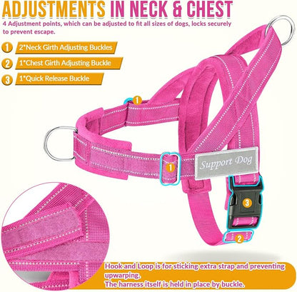 SlowTon No Pull Dog Harness with Front Clip - Heavy Duty, Soft Padded | Neck & Chest Adjustable, Tactical Pet Vest and Leash Set for Large Medium Sized Dogs, for Easy Walk & Training, Fuchsia L