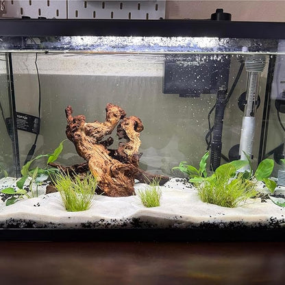 2 PCS Large Natural Aquarium Driftwood 12-16", Aquarium Drift Wood for Fish Tank Decoration, Assorted Size Mopani Wood Twisted Branches Trunk Decor for Freshwater, Reptile Terrarium