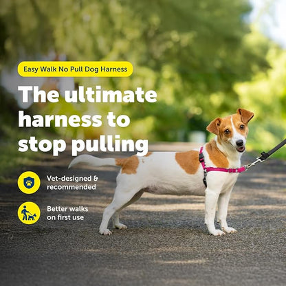 PetSafe Easy Walk Harness, No Pull Dog Harness, Red, Small | Patented Martingale Loop Gives Gradual Shoulder Pressure to Stop Pulling, Front-Chest Leash Clip Prevents Gagging