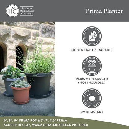 The HC Companies Prima Round Plastic Plant Pot w/Rolled Rim - Lightweight & UV Resistant Flower Pot for Herbs & More - Outdoor & Indoor Plant Pots w/Drainage (6 inch, Sandstone, Pack of 1)