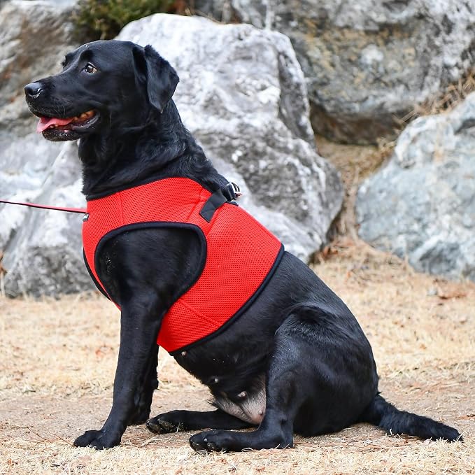 PUPPIA International Puppia Harness Soft B Vest RED XXLarge