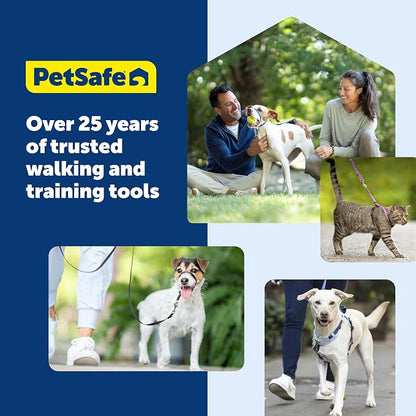 PetSafe Easy Walk Harness, No Pull Dog Harness, Black, Petite | Patented Martingale Loop Gives Gradual Shoulder Pressure to Stop Pulling, Front-Chest Leash Clip Prevents Gagging
