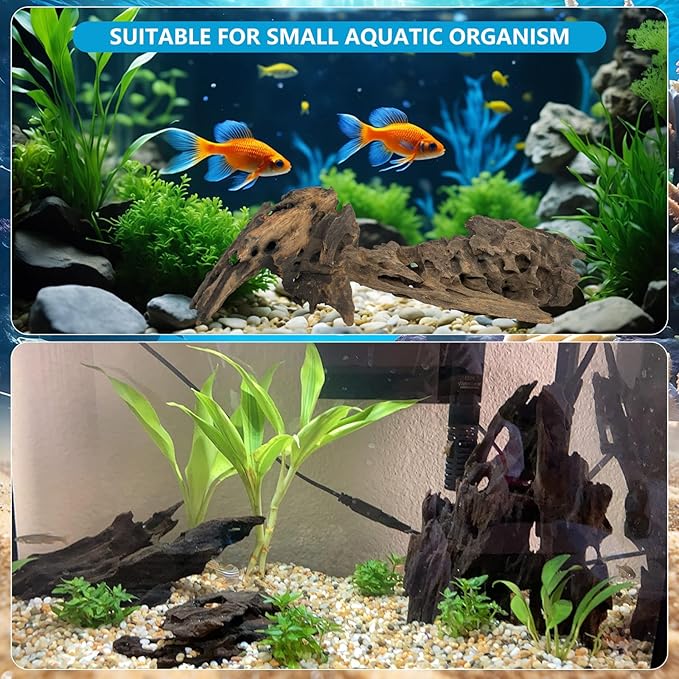 10 PCS Natural Honeycomb Wood 2-4", Porous Aquarium Driftwood, Cholla Wood Shrimp Shelter Breeding Cave, Shrimp Dragon Wood for Fish Tank, Aquascaping, Reptile, Terrarium Decor