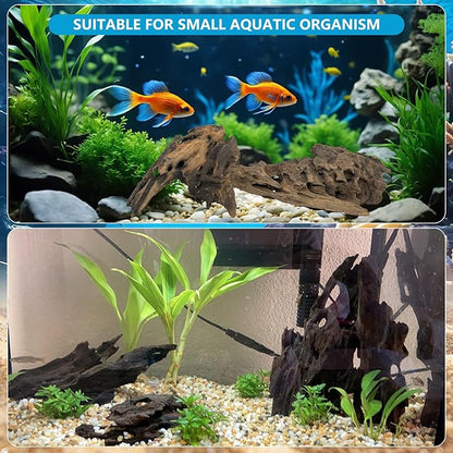10 PCS Natural Honeycomb Wood 2-4", Porous Aquarium Driftwood, Cholla Wood Shrimp Shelter Breeding Cave, Shrimp Dragon Wood for Fish Tank, Aquascaping, Reptile, Terrarium Decor