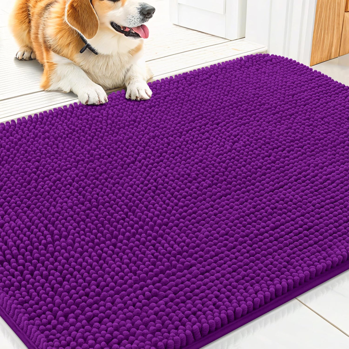 Smiry Dog Door Mat for Muddy Paws 30x20, Absorbs Moisture and Dirt Doormat, Non-Slip Washable Quick Dry Chenille Front Door Mat Indoor Entrance, Entryway Carpet for Inside Floor, Purple
