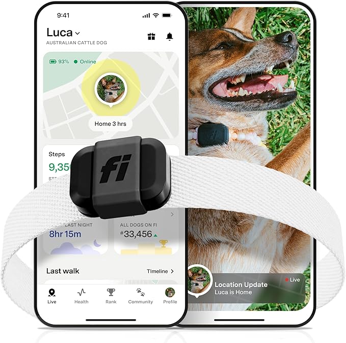 Fi Mini GPS Tracker for Dogs — 6-Month Membership Included — Smart Pet Tracking