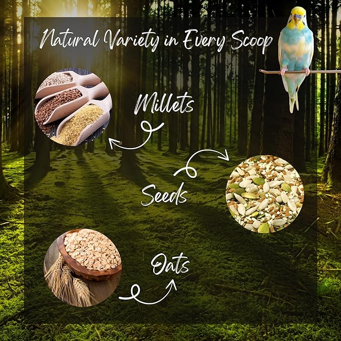 Danodia's Zoolulu Cockatiel & Parrotlet Millet Mix (950g/2 lbs) | Bird Food Blend for Cockatiels, Budgerigars, Parrotlets & Lovebirds | Daily Healthy Nutrition
