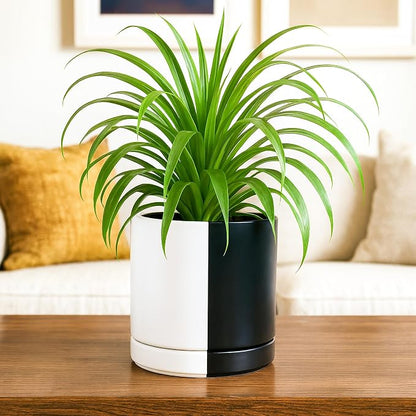 D'vine Dev 6.5 Inch Ceramic Planter Pot, Black White Split, 94-O-C-0 | Modern Cylinder Design, Drainage Hole & Saucer Included, Stable Structure, Elegant Home Accent