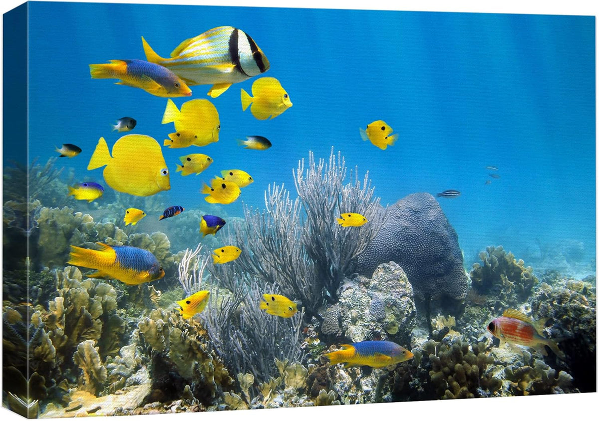 wall26 Canvas Print Wall Art Yellow School of Fish with Blue Coral Reef Nature Ocean Photography Realism Nautical Scenic Relax/Calm Multicolor Ultra for Living Room, Bedroom, Office - 16"x24"