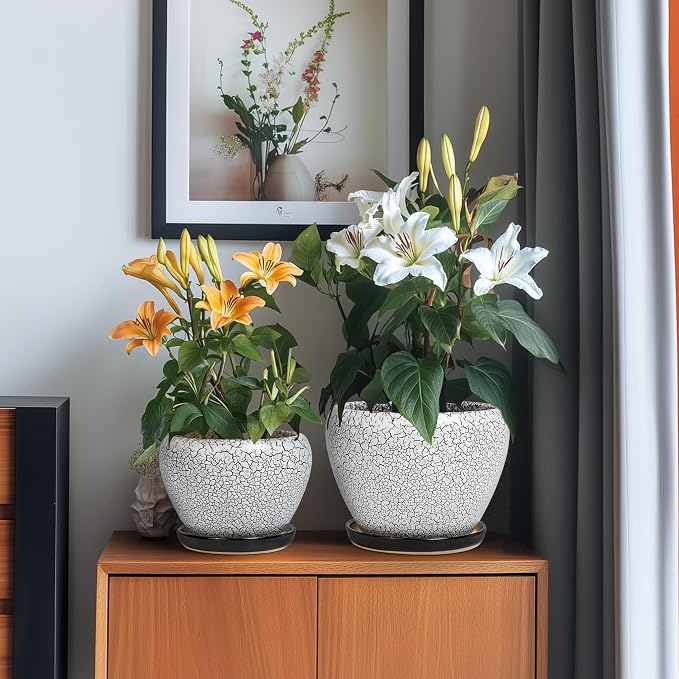 Ceramic Plant Pots Set of 3, 10+8+6 Inch Modern Round Flower Planters with Drainage Holes and Plant Saucers for Indoor Outdoor, Home Garden Room Porch Decor, Plant Lover Gifts, White-Black