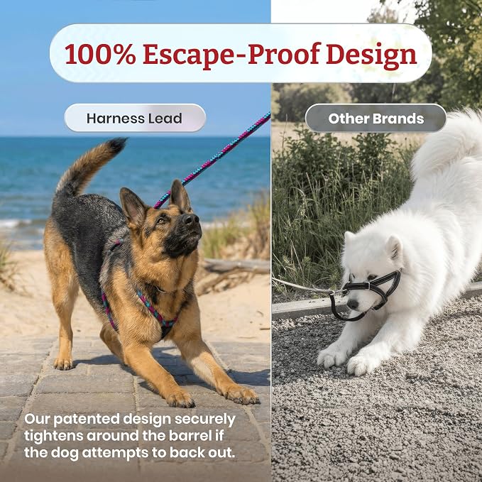 Harness Lead No Pull Dog Harness and Leash Set, Anti Pull Dog Harness for All Breeds and Sizes, One-Piece Cushioned Rope Design Safely Prevents Escaping and Pulling (Small/Medium, Orange/Reflective)
