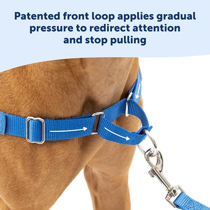 PetSafe Easy Walk Harness, No Pull Dog Harness, Royal Blue, Large | Patented Martingale Loop Gives Gradual Shoulder Pressure to Stop Pulling, Front-Chest Leash Clip Prevents Gagging