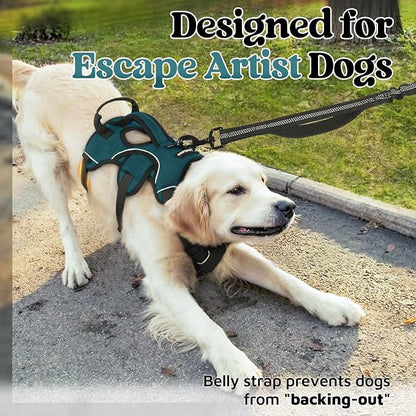 rabbitgoo Escape Proof Dog Harness for X-Large, No Pull with Lift Handle | No Escape, Full Soft Padded, Reflective Adjustable Vest, Leash Clip for Walking Hiking Training, Dark Green, X-Large