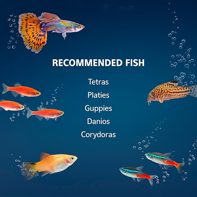 Aqueon Aquarium Starter Kit with Smart Clean Filtration and LED Lighting, Freshwater and Saltwater Fish, Perfect for Tetras, Guppies, Platies, 10-Gallon