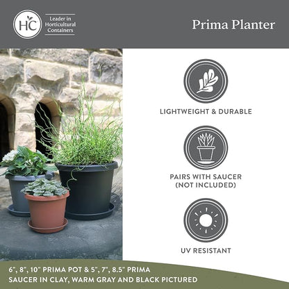 The HC Companies 12 Inch Prima Round Planter Pots with Drainage Holes and Rolled Rim, Lightweight UV-Resistant Plastic Indoor & Outdoor Planters, 2-Pack Flower Pots for Garden & Home Decor, Cappuccino