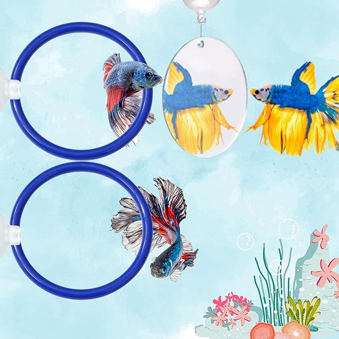 Betta Fish Enrichment Toys Ring and Mirror , Floating Exercise Mirrors And Training Ring, Floating Mirrors Aquarium With Feeding Rings, Fish Toys, Betta Fish Tank Accessories (Blue+Mirror, 6.4cm)