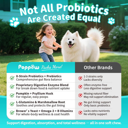 Probiotics for Dogs, Digestive Enzymes for Gut Health Support, Dog Fiber Supplement with Pumpkin for Diarrhea & Bowel Support, Upset Stomach & Gas Relief, Constipation - 90 Count Chicken Flavor