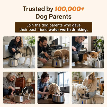 Selene Wireless Doggy Fountain, 7L (1.85 Gal) Cordless Dog Water Fountain for Dogs Inside, Stainless Steel Pet Fountain, 4-Layer Filtration, 30-Day Battery