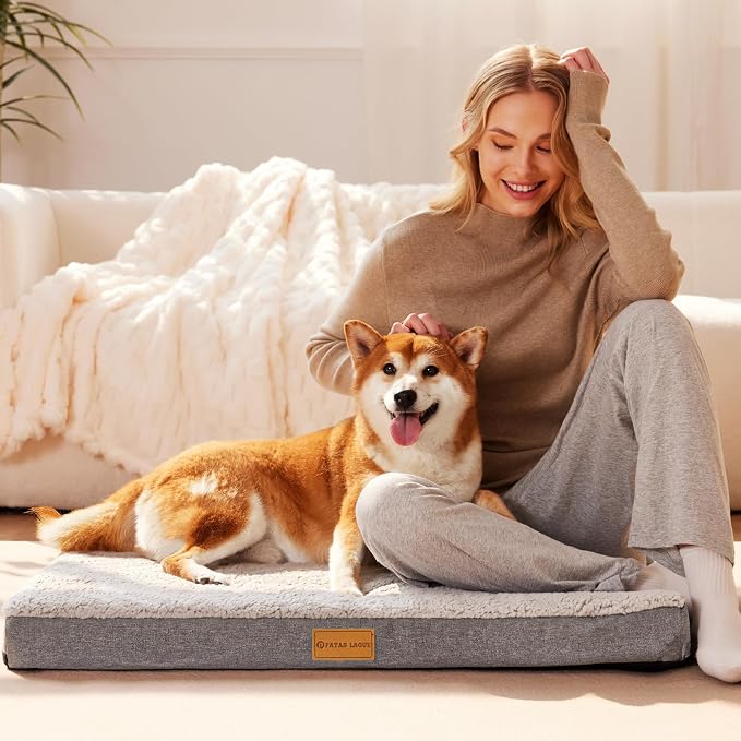 Patas Lague Orthopedic Large Dog Bed Washable Pet Sofa Mat 48''X30'' Ivory | Egg-Crate Foam Dog Couch For Large Sized Dogs, Waterproof Removable Cover, Soft Pet Crate Bed With Nonskid Bottom