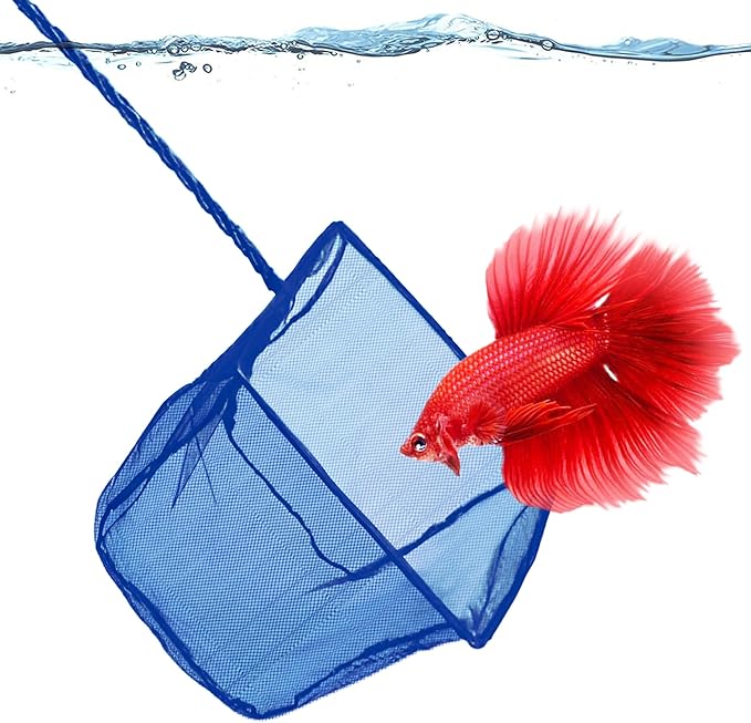 SunGrow Betta Fish Net, Secure Delicate Fin, 5x4 Inches with 11 Inches Handle, Extra Soft Nylon Net, Easy Routine Aquarium Tank Maintenance, Fish Tank Supplies