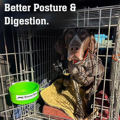 Dog Crate Water Bowl No Spill, 20oz Food-Grade Polypropylene Feeder (Green) | Secure Crate Mount with Covered Parts, Travel-Ready, Easy-To-Clean Design for Home, Crate Training and Travel