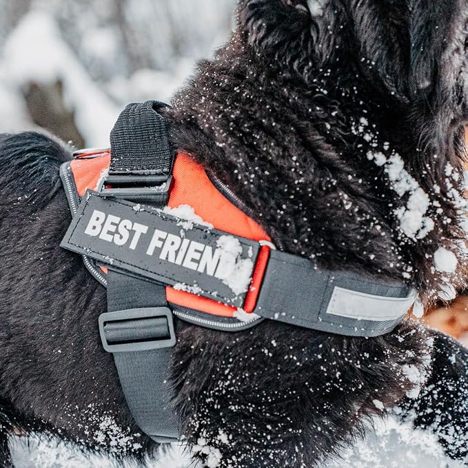 Personalized Dog Harness with Custom Name Patches, Adjustable Reflective No Choke Dog Vest with Handle for Extra Large Dog, Motorsport, XL