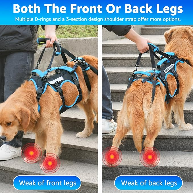 Dog Lift Harness for Large Male Dogs, 2-in-1, Back Leg Support & Mobility Assistance for Senior Dogs, Post-Surgery Recovery Sling(Black, Large)