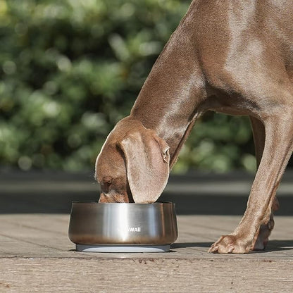Pawaii Dog Bowl,34 oz Stainless Steel Food and Water Bowl,ID Tag,1 Pack | Double-Wall Design,Non-Slip Rubber Base,Dishwasher Safe,Smooth Open Design, Not a Slow Feeder,Easy-Rinse Interior