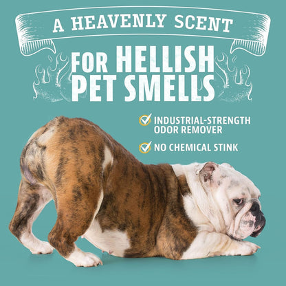 ANGRY ORANGE Pet Odor Eliminator for Dog and Cat Urine, Carpet Stains, and Strong Smells – Citrus Cleaner with Natural Orange Oil – 24 oz - Value 2 Pack