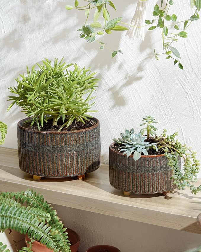 LE TAUCI Succulent Pots, 6.5+8 Inch Ceramic Pots for Plants Indoor, Shallow Round Succulent Planters with Drainage Hole, Set of 2, Reactive Glaze Black