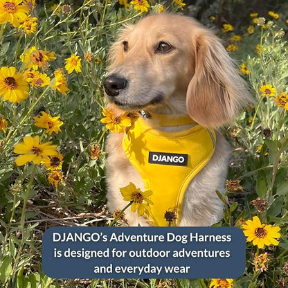 Adventure Dog Harness - Stylish Medium Dog Harness for Outdoor Adventures and Everyday Wear - Dandelion Yellow Neoprene Adjustable Harness for Dogs with Reflective Piping and Solid Brass D-ring