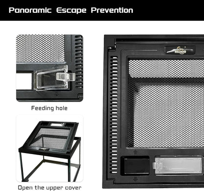 Mini Reptile Glass Terrarium Tank 8 * 8 * 6" Full View, Amphibians Box Habitat Enclosure Cage for Frog,Spiders,Dubia Cockroach,Praying Mantis,Cricket,Tarantula,Hermit Crab