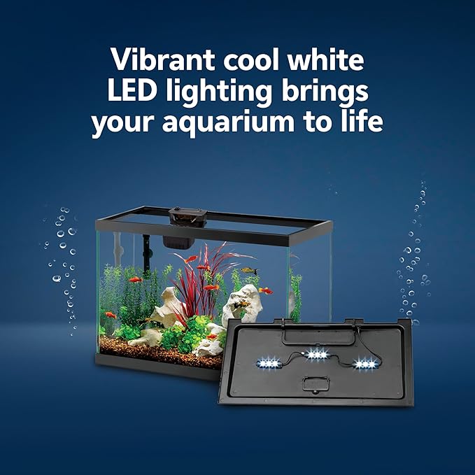 Aqueon Aquarium Starter Kit with Smart Clean Filtration and LED Lighting, Freshwater and Saltwater Fish, Perfect for Tetras, Guppies, Platies, 10-Gallon