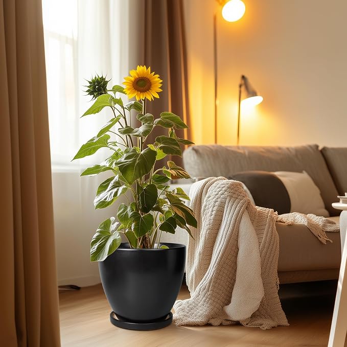 Ceramic Planter - 10 Inch Plant Pot with Drainage Hole and Tray, Round Flower Pots, Planters for Indoor Plants, Modern Room Garden Patio Bathroom Living Room Porch Home Decor, Black