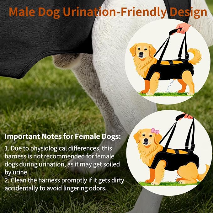 Full Body Dog Lift Harness, Support Senior & Disabled Dogs Walking | Help Up & Down Stairs Grooming, Dog Sling Backpack, Front Hind Leg Joint Injuries, Reflective, Soft Padded Handle | Black, L