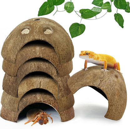 Hamiledyi 7 Pcs Reptile Hideouts Natural Coconut Shells Hut Leopard Gecko Tank Accessories for Aquarium Fish Hermit Crab Hide Cave Small Snake Tarantulas Lizard Chameleon (Without Fiber)