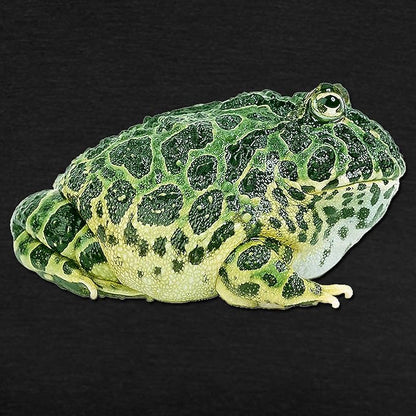 CafePress FIN Pacman Frog Womens Tri Blend T Shirt Women's Tri-Blend T-Shirt