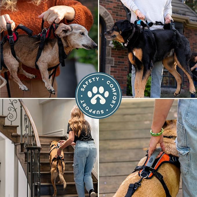 Help 'Em Up® - Dog Lift Harness│ Adjustable Lifting Harness for Dogs │ Full Body Support, Rear Leg Support (Conventional, Large, 80-125 lbs)