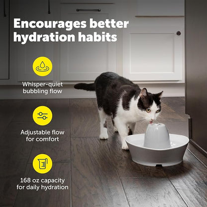 PetSafe Creekside Ceramic Pet Fountain, 60 Oz, Extra Filters | 60 Oz Capacity, Whisper-Quiet Flow, Includes 12 Extra Carbon & 2 Extra Foam Filters, Dishwasher Safe, Cats & Small Dogs