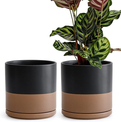 D'vine Dev Set of 2 Plants Pots, 8 Inch Ceramic Planter Pot for Plants with Drainage Hole and Saucer, Black/Speckled Tan, 94-V-D-7