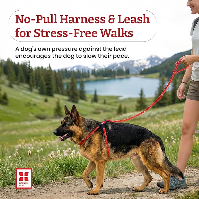 Harness Lead No Pull Dog Harness and Leash Set, Anti Pull Dog Harness, One-Piece Cushioned Rope Safely Prevents Escaping and Pulling (Extra Large, Black Reflective)
