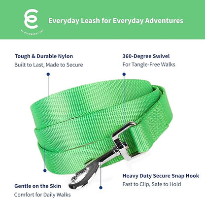 Blueberry Pet Essentials Neon Green Dog Leash for X-Small -5' * 3/8" Dogs | Heavy Duty Nylon Lead | Lightweight Puppy & Cat Leash for Walking & Training