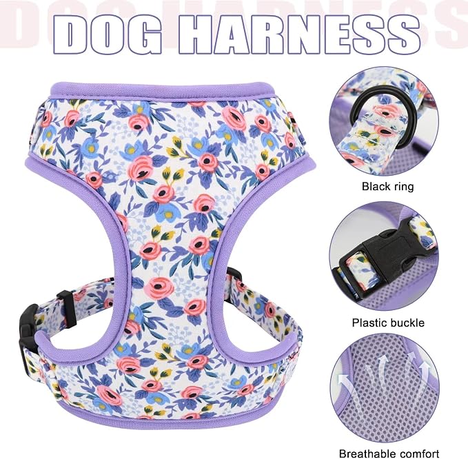 Beirui Cute Dog Collars,Harnesses,Leashes Set, Floral Pattern, Blue,XS | Girl Dog Harness Set with Flower, Adjustable and Soft Mesh Lining, For Small Dogs Daily Walks
